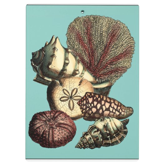 Turquoise Shell en Red Coral Collectie Klembord (Achterkant)