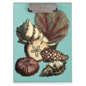 Turquoise Shell en Red Coral Collectie Klembord (Voorkant)