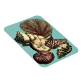 Turquoise Shell en Red Coral Collectie Magneet (Rechterzijde)