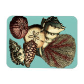 Turquoise Shell en Red Coral Collectie Magneet (Horizontaal)