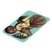 Turquoise Shell en Red Coral Collectie Magneet (Linkerzijde)