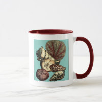 Turquoise Shell en Red Coral Collectie