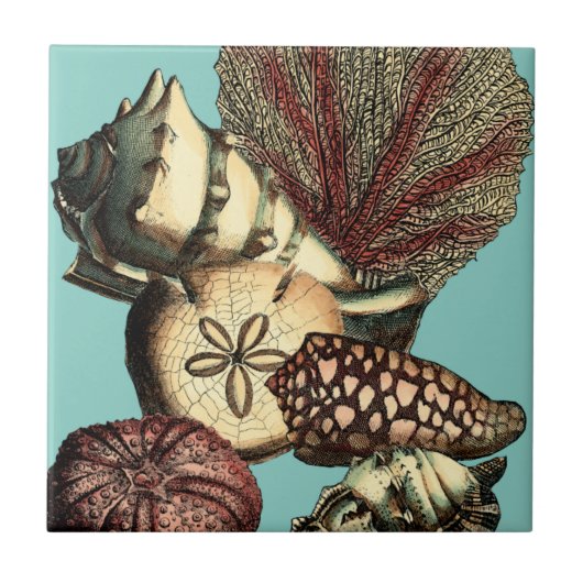 Turquoise Shell en Red Coral Collectie Tegeltje (Voorkant)