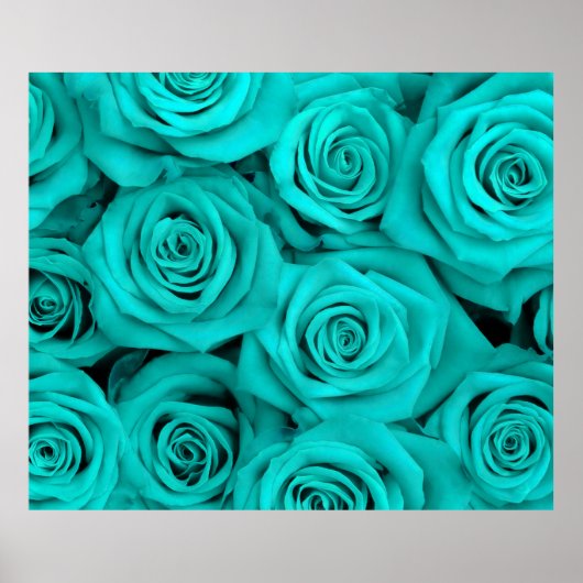 Turquoise Spectaculaire Rozen Poster (Voorkant)