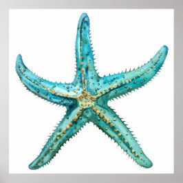  Turquoise starfish  24 x 24 Poster
