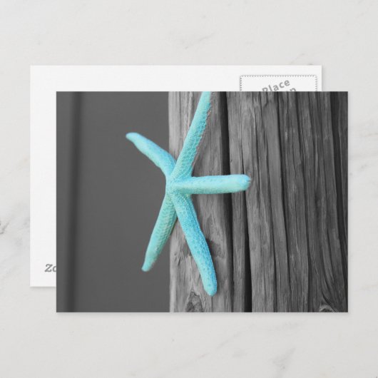 Turquoise Starfish Coastal Briefkaart (Voorkant / Achterkant)