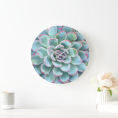 Turquoise Succulent Echeveria Grote Klok (Huis)