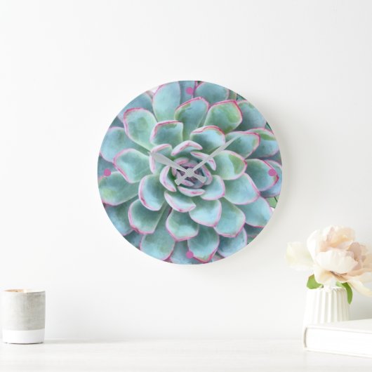 Turquoise Succulent Echeveria Grote Klok (Huis)
