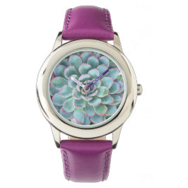 Turquoise Succulent Echeveria Horloge