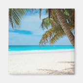 Turquoise Tropical Beach Magneet (Voorkant)