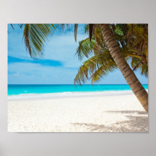 Turquoise Tropical Beach Poster