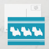 Turquoise Westies Briefkaart (Voorkant / Achterkant)