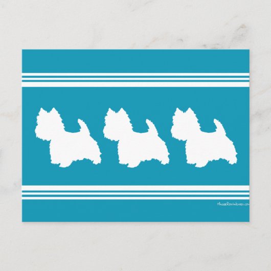 Turquoise Westies Briefkaart (Voorkant)