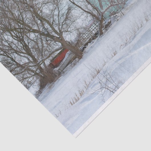 Turquoise Winterschuur Tissuepapier (Detail)