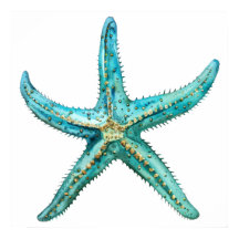 Turquoise zeester 24 x 24