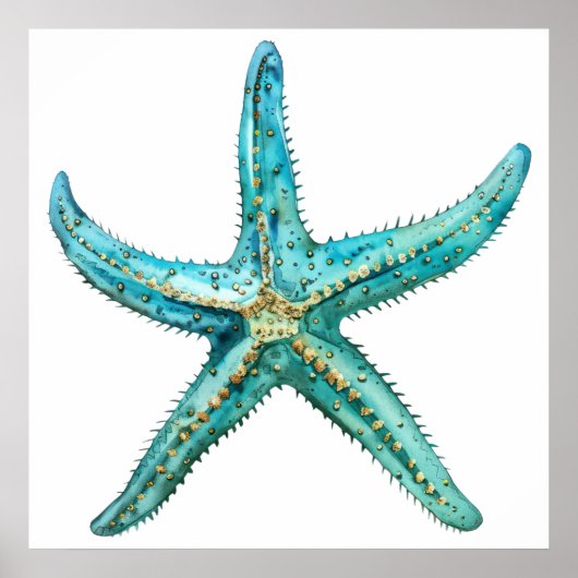 Turquoise zeester  24 x 24 poster (Voorkant)