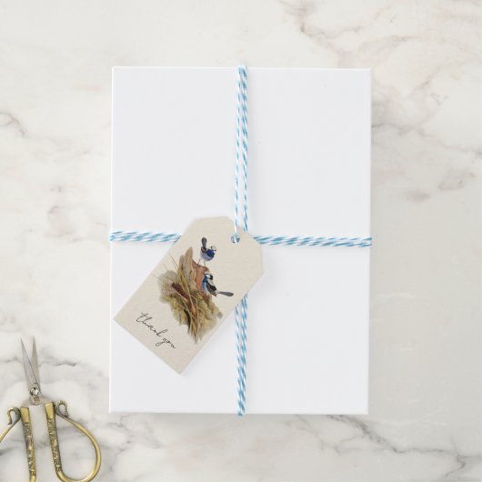 Turquoisine Superb Warbler Cadeaulabel (Met Touw)