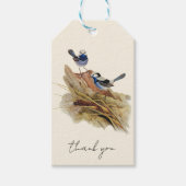 Turquoisine Superb Warbler Cadeaulabel (Voorkant)