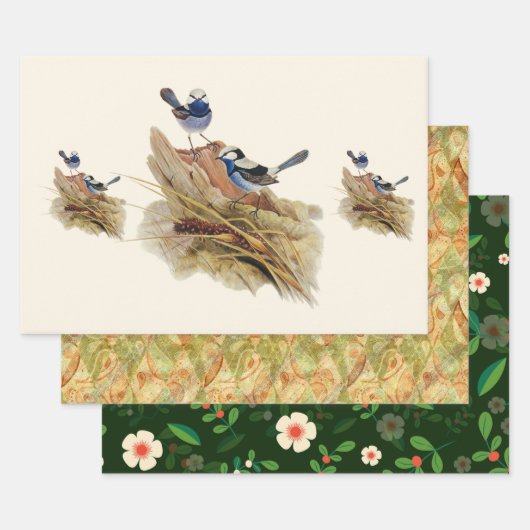 Turquoisine Superb Warbler Inpakpapier Vel (Set)
