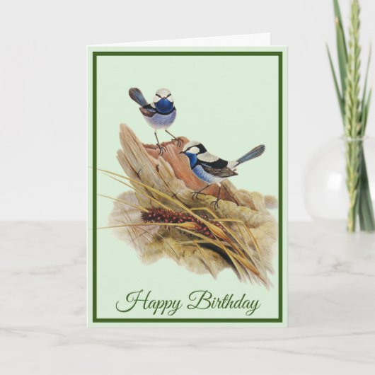 Turquoisine Superb Warbler Kaart (Voorkant)