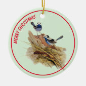 Turquoisine Superb Warbler Keramisch Ornament (Voorkant)