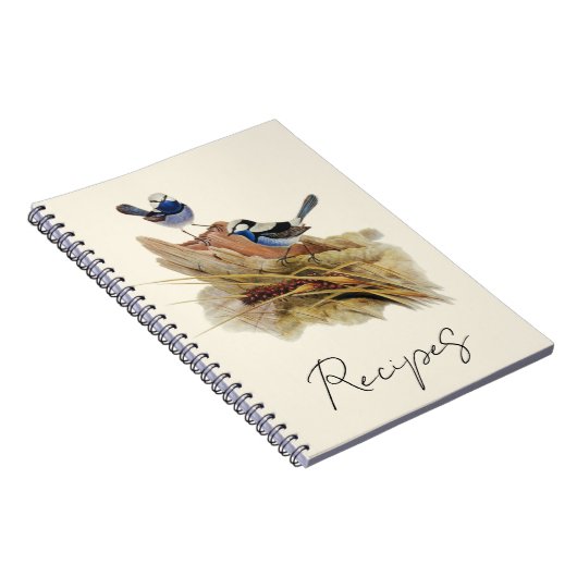 Turquoisine Superb Warbler Notitieboek (Rechterzijde)