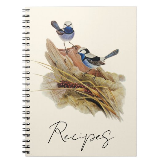 Turquoisine Superb Warbler Notitieboek (Voorkant)