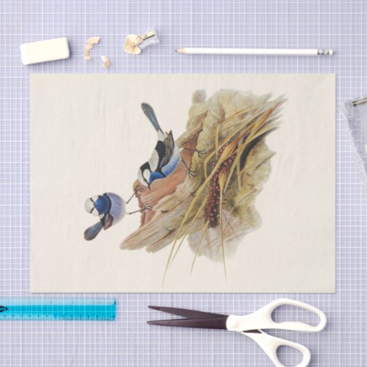 Turquoisine Superb Warbler, ontkoppeling Tissuepapier (Craft)