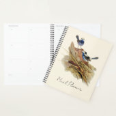 Turquoisine Superb Warbler Planner (Display)