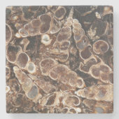 Turritella Agate Fossils Stone Onderzetter (Voorkant)