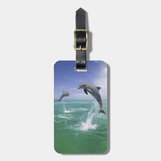 Tursiops truncatus bagagelabel (Voorkant verticaal)