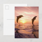 Tursiops truncatus briefkaart (Voorkant / Achterkant)