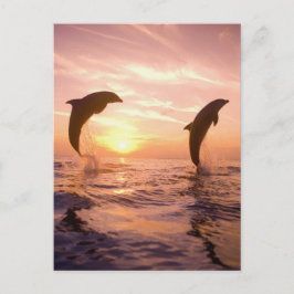 Tursiops truncatus briefkaart