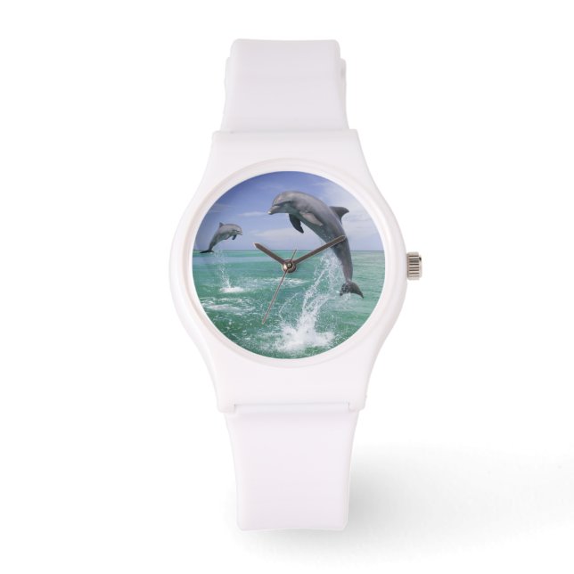 Tursiops truncatus horloge (Voorkant)