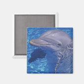 Tursiops truncatus magneet (Voorkant / Achterkant)