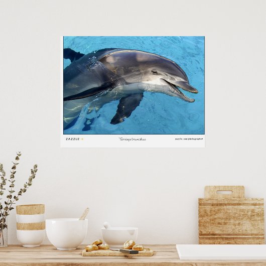 Tursiops Truncatus Poster (Keuken)