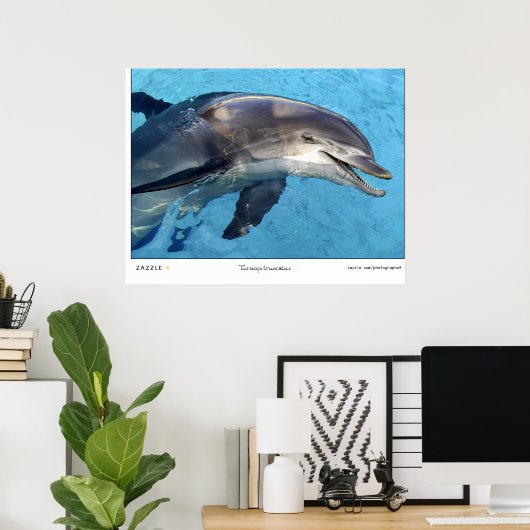 Tursiops Truncatus Poster (Thuiskantoor)