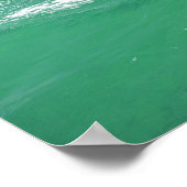 Tursiops truncatus poster (Hoek)