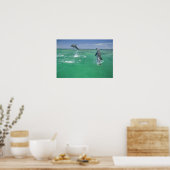 Tursiops truncatus poster (Keuken)