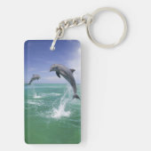 Tursiops truncatus sleutelhanger (achterkant)