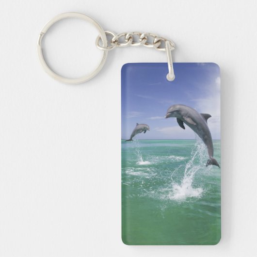 Tursiops truncatus sleutelhanger (Voorkant)