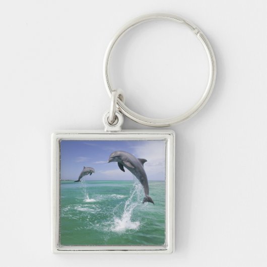 Tursiops truncatus sleutelhanger (Voorkant)