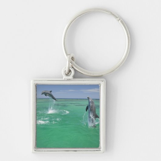 Tursiops truncatus sleutelhanger (Voorkant)