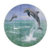 Tursiops truncatus snijplank (Voorkant)