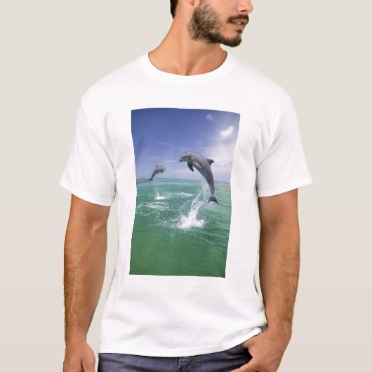 Tursiops truncatus t-shirt (Voorkant)