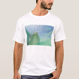 Tursiops truncatus t-shirt