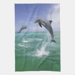 Tursiops truncatus theedoek