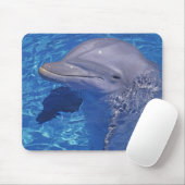 Tursiops Truncatus, Tuimelaar Muismat (Met muis)
