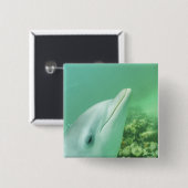 Tursiops truncatus vierkante button 5,1 cm (Voorkant /achterkant)