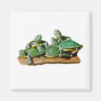 Turtle Afbeelding Magnet